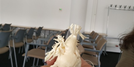 Powiększ grafikę: Serce z drukarki 3D