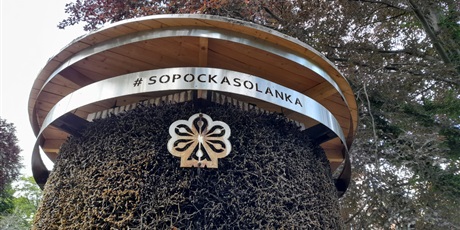 Powiększ grafikę: czy-znamy-sopot-630577.jpg