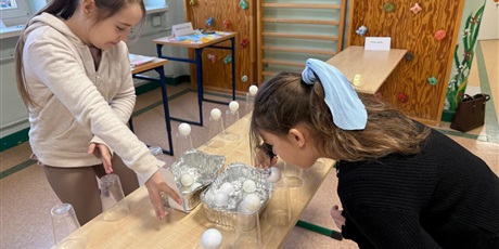 Powiększ grafikę: dni-edukacji-dla-wszystkich-657978.jpg