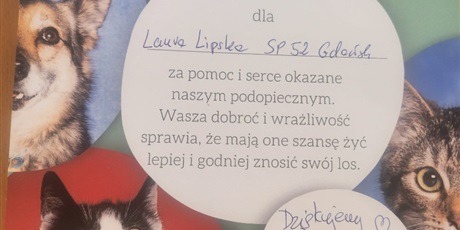 Finał zbiórki na Schronisko dla zwierząt Promyk