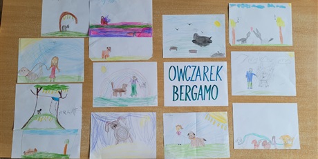 Innowacja Europa- owczarek bergamo
