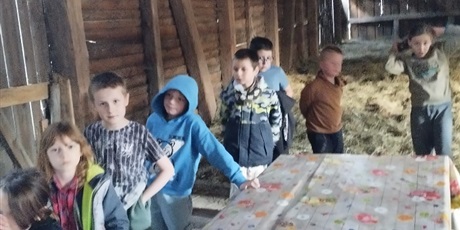 Powiększ grafikę: jabloniowy-sad-649449.jpg
