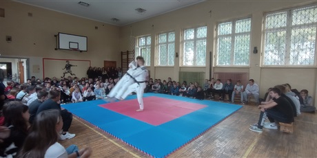 Powiększ grafikę: judocy-w-naszej-szkole-376957.jpg