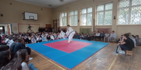 Powiększ grafikę: judocy-w-naszej-szkole-376958.jpg