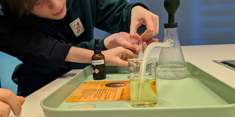 Powiększ grafikę: klasa-7b-w-laboratorium-odkrywcow-688358.jpg