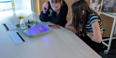 Powiększ grafikę: klasa-7b-w-laboratorium-odkrywcow-688359.jpg