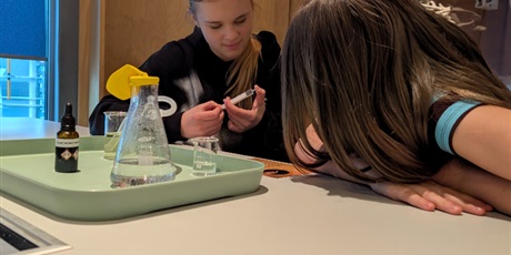 Powiększ grafikę: klasa-7b-w-laboratorium-odkrywcow-688360.jpg