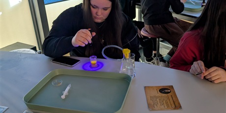 Powiększ grafikę: klasa-7b-w-laboratorium-odkrywcow-688361.jpg