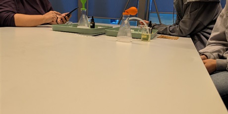 Powiększ grafikę: klasa-7b-w-laboratorium-odkrywcow-688363.jpg