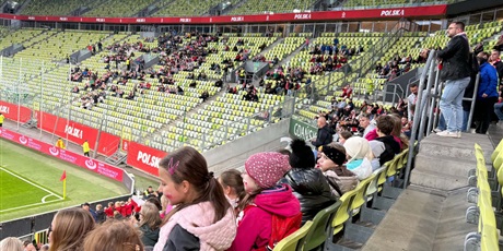 Powiększ grafikę: male-wielkie-kibicowanie-717527.jpg
