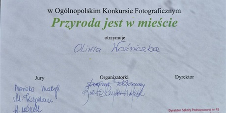 Powiększ grafikę: nagrody-w-konkursach-ogolnopolskich-691021.jpg