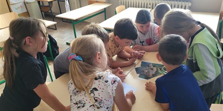 Powiększ grafikę: podsumowanie-swietlicowej-innowacji-pedagogicznej-628247.jpg