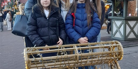 Powiększ grafikę: przedswiateczne-wyjscie-7b-668481.jpg