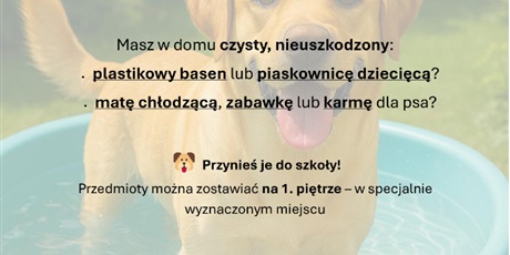 Akcja charytatywna na rzecz schroniska dla zwierząt