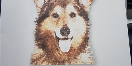 Powiększ grafikę: razem-mozemy-wiecej-pomagamy-zwierzakom-z-promyka-667211.jpg