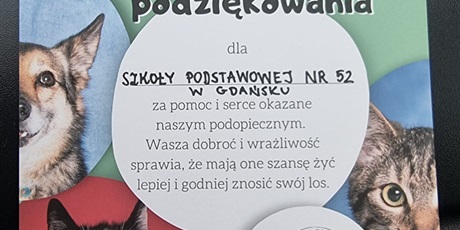 Razem możemy więcej – pomagamy zwierzakom z Promyka