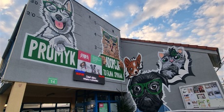 Powiększ grafikę: razem-mozemy-wiecej-pomagamy-zwierzakom-z-promyka-667213.jpg