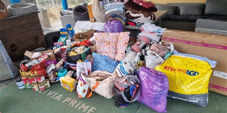 Powiększ grafikę: razem-mozemy-wiecej-pomagamy-zwierzakom-z-promyka-667217.jpg