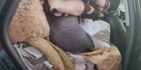 Powiększ grafikę: razem-mozemy-wiecej-pomagamy-zwierzakom-z-promyka-667218.jpg