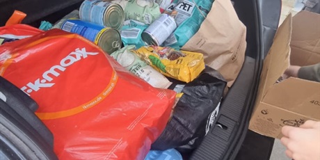 Powiększ grafikę: razem-mozemy-wiecej-pomagamy-zwierzakom-z-promyka-667221.jpg