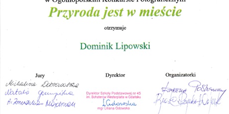 Powiększ grafikę: sukcesy-w-konkursie-fotograficznym-622030.jpg
