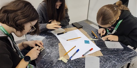 Powiększ grafikę: targi-mlodziezowej-aktywnosci-659201.jpg