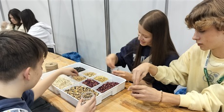 Powiększ grafikę: targi-mlodziezowej-aktywnosci-659214.jpg