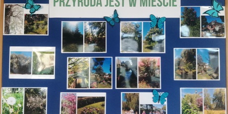 Powiększ grafikę: w-wiosennym-nastroju-533575.jpg