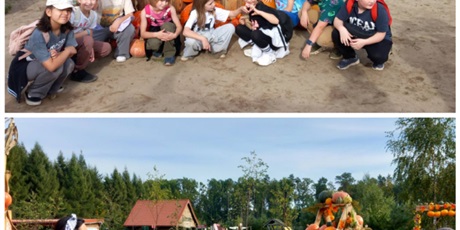 Powiększ grafikę: wizyta-na-farmie-alexa-717507.jpg
