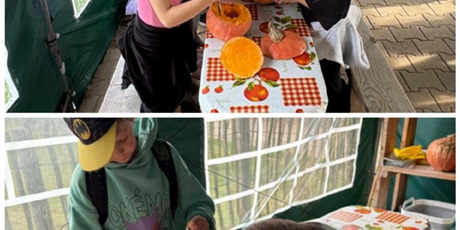 Powiększ grafikę: wizyta-na-farmie-alexa-717519.jpg