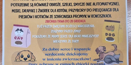 Powiększ grafikę: zbiorka-dla-schroniska-dla-zwierzat-promyk-660510.jpg