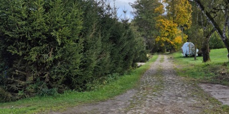 Powiększ grafikę: zielona-szkola-w-runowie-648570.jpg