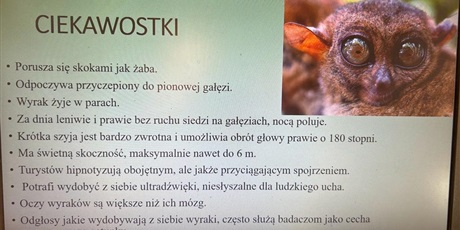 Powiększ grafikę: na-tropie-nieznanych-zwierzat-po-7-kontynentach-481795.jpg